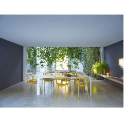 Kartell Masters Chair (2 Chairs) -Chair Store Kartell Masters Chair Feature Image 1 CA Modern Home