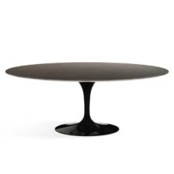 Saarinen Outdoor Dining Table - 78" Oval -Chair Store Saarinen Outdoor Dining Table 78inch Oval Knoll CA Modern Home 3