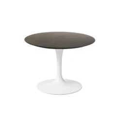 Saarinen Side Table - 20" Outdoor -Chair Store Saarinen Side Table 20inch Outdoor Knoll CA Modern Home 2