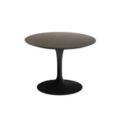 Saarinen Side Table - 20" Outdoor -Chair Store Saarinen Side Table 20inch Outdoor Knoll CA Modern Home 3