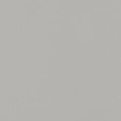 Divina Petite Lounge Chair -Chair Store Vinyl in Fog