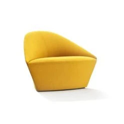 Colina Fully Upholstered Medium Lounge Chair