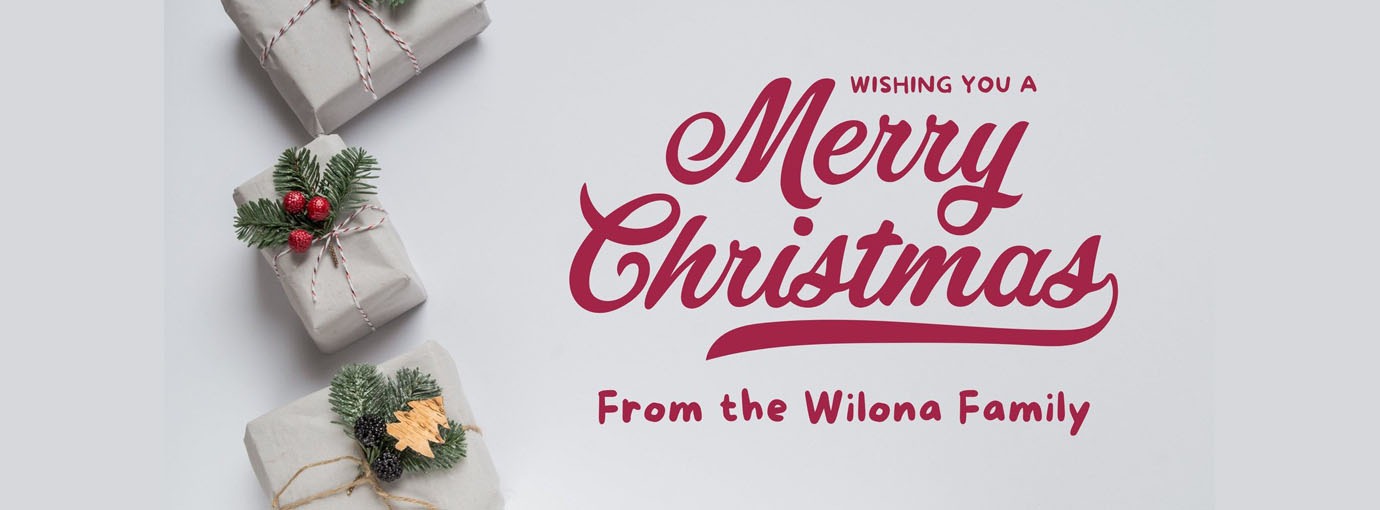 Chair Store -Chair Store 155